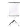 CFS Products Free-Standing Photo ID Backdrop - Includes Carrying Case - TB-33