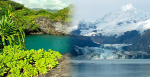 CFS has options for shipping to Hawaii & Alaska